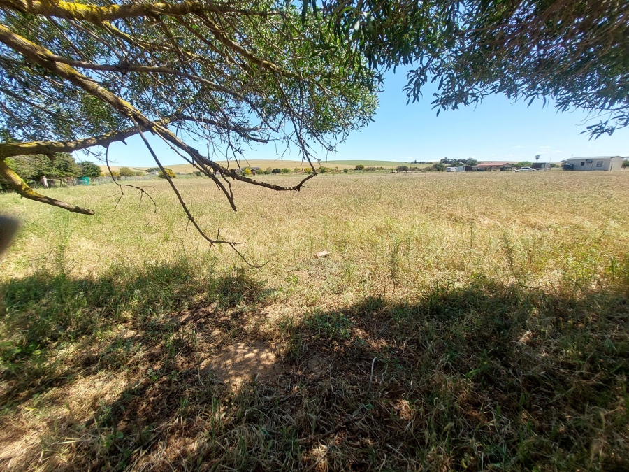 0 Bedroom Property for Sale in Moorreesburg Western Cape
